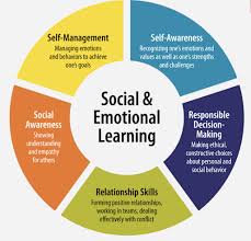 Social and Emotional Intelligence