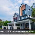 From Color to Canvas: Building a Cohesive Scheme